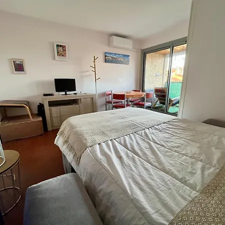 Studio Avec Terrasse, Parking A 170M De La Plage - Fr-1-309-463 Collioure Exterior photo